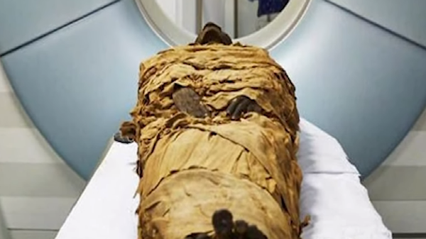 Говорящая мумия жреца 
