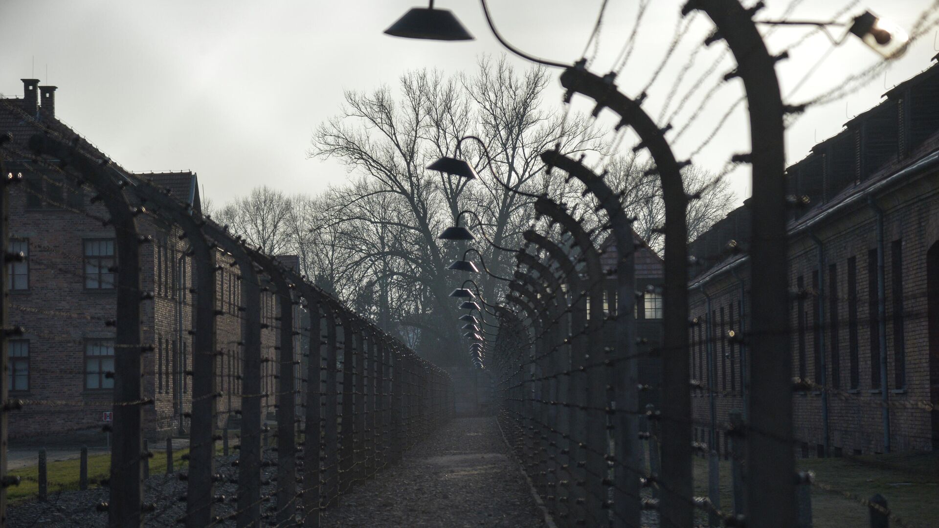 Музей на территории бывшего концентрационного лагеря Аушвиц-Биркенау в польском Освенциме - РИА Новости, 1920, 16.03.2021
