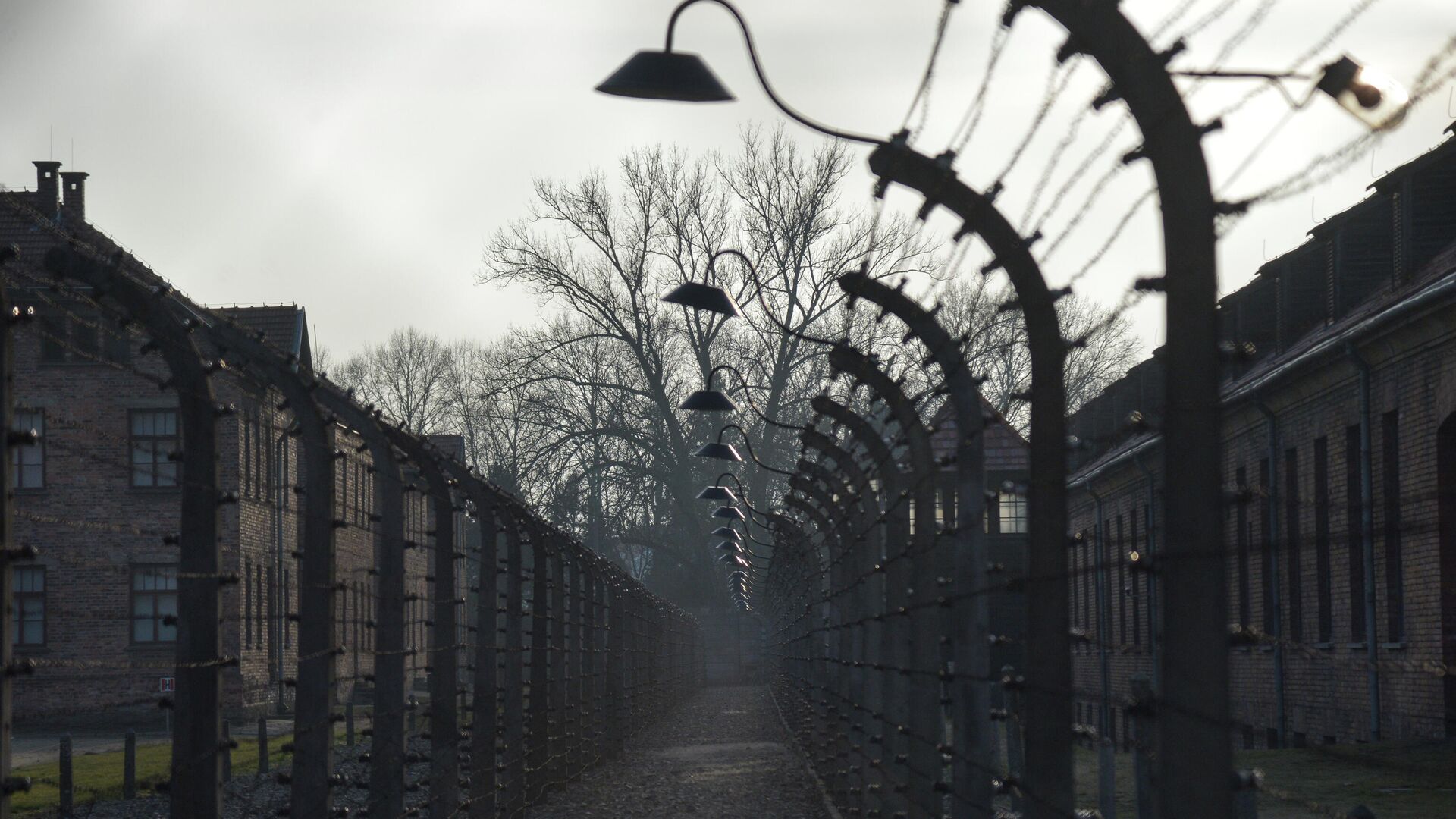 Музей на территории бывшего концентрационного лагеря Аушвиц-Биркенау в польском Освенциме - РИА Новости, 1920, 20.02.2021