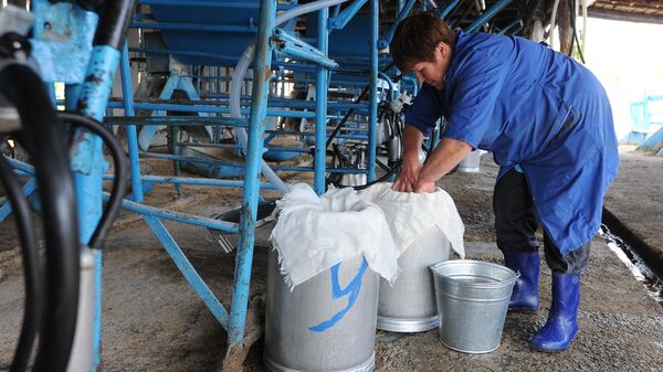 Доярка готовит оборудование для дойки коров на ферме