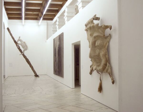 Инсталляция Оперившийся осел (Feather donkey)  китайского художника Чжана Хуана