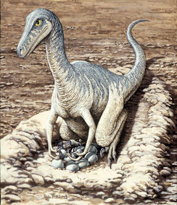 Динозавр, насиживающий яйца. Реконструкция