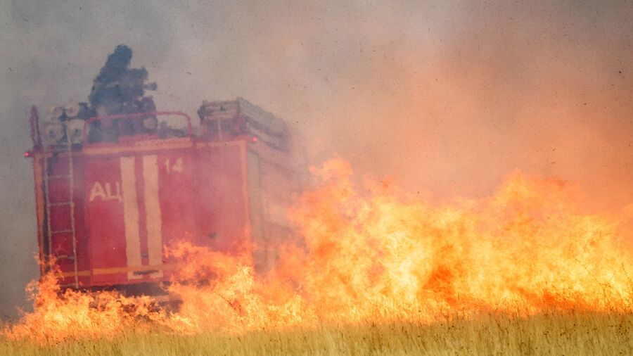 Сотрудники МЧС на месте природного пожара в Воронежской области