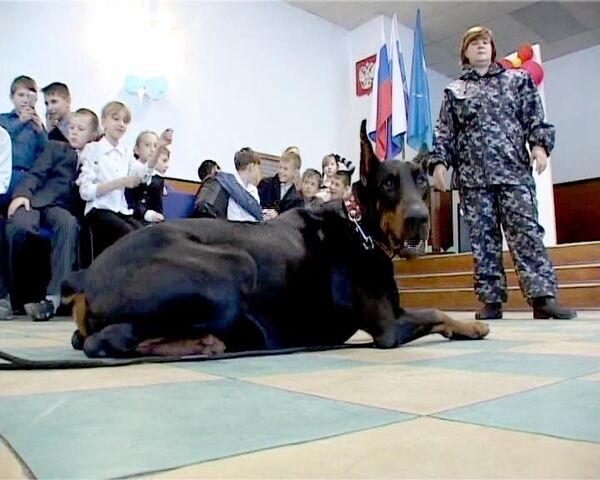 Лучший доберман России служит в милиции