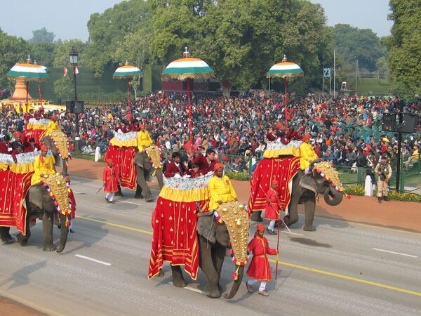 Слоны на параде в Индии