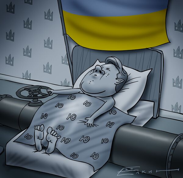 Президент Украины Виктор Ющенко отверг обвинения в причастности к махинациям с продажей газа