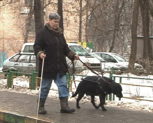 Реагенты против гололеда и всего живого