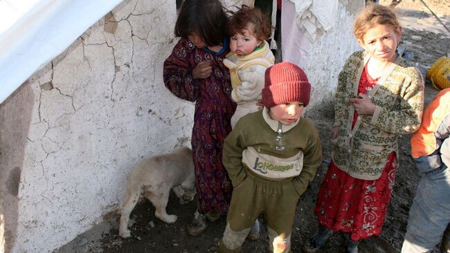 Дети и собаки в палаточном лагере