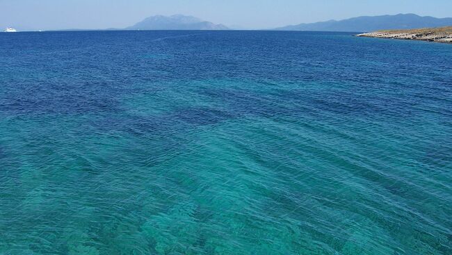 Раковины морских микроорганизмов стали тоньше - ученые