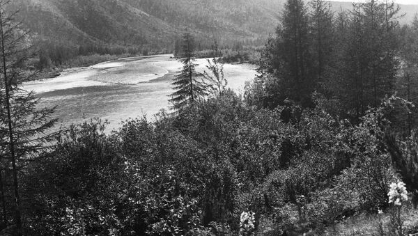 Река Колыма. Архивное фото