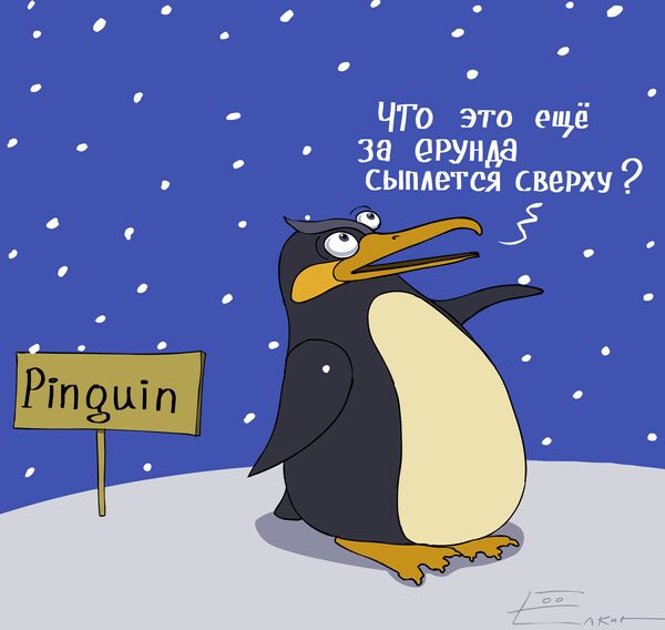 Пингвины чувствуют себя как в раю – резвиться в снегу им понравилось