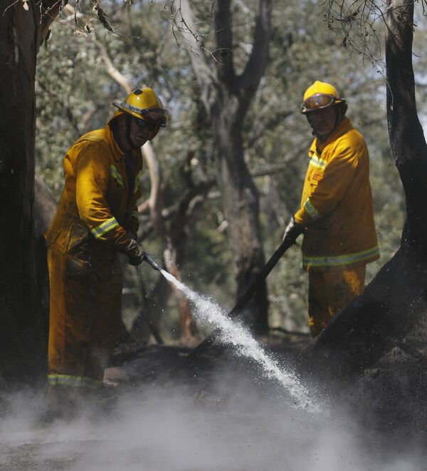 Более ста лесных пожаров возникли за день на юго-востоке Австралии
