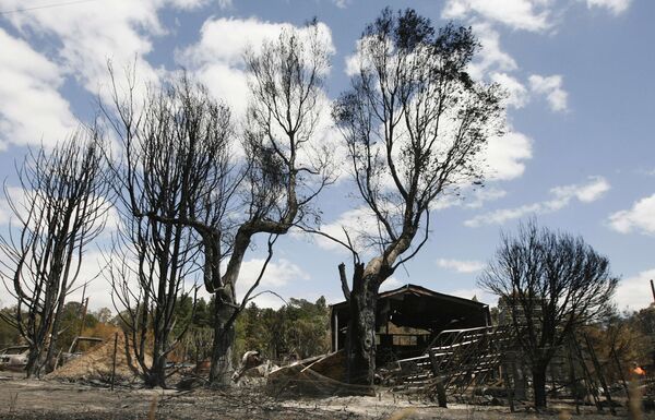 Число жертв лесных пожаров на юге Австралии возросло до 208
