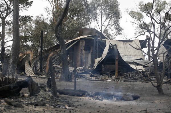 Последствия лесных пожаров в Австралии