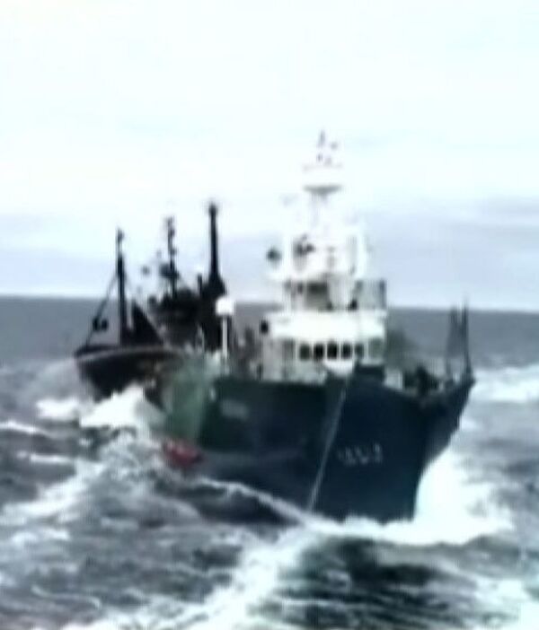 Корабль экологов, наблюдавший за китобоями, уходит из вод Антарктики