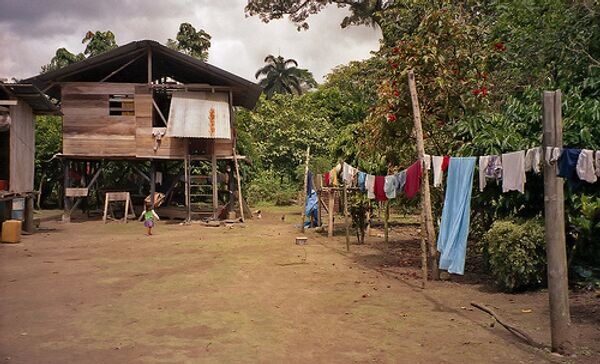 Индейцев бразильской Амазонии подозревают в каннибализме