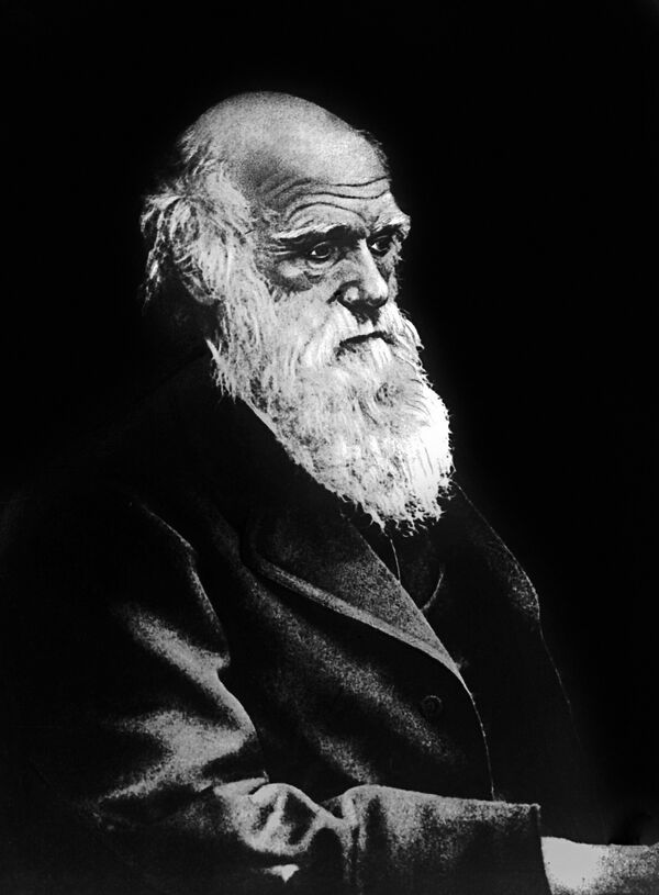 Чарльз Дарвин: краткая биография | История и достижения великого ученого