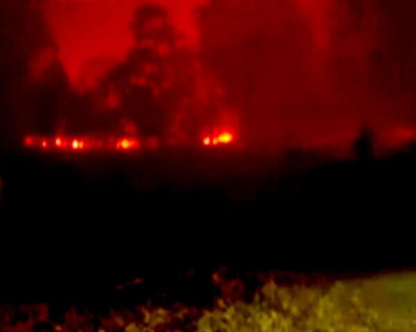 Вину за пожары в Австралии возлагают на поджигателей 