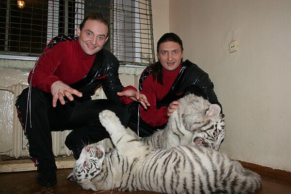 Братья Запашные и белые тигрята