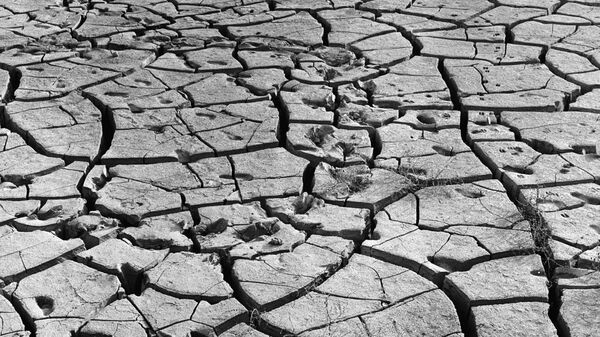 Аграрии Башкирии подсчитали ущерб от засухи