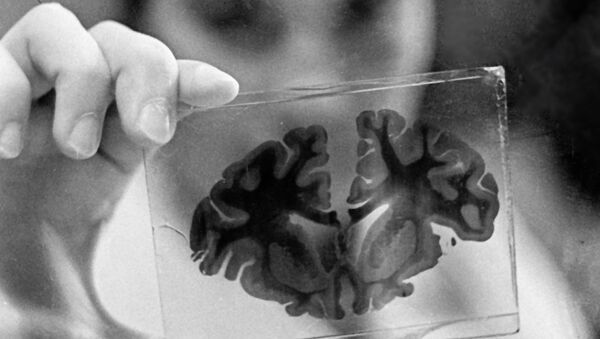 Ученые обещают создать искусственный мозг человека за 10 лет  