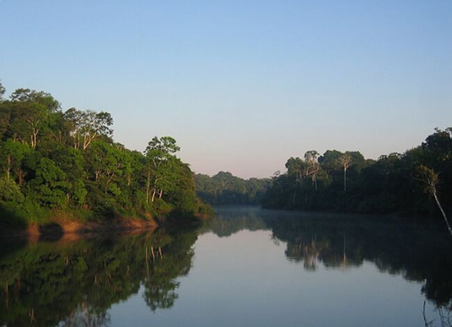 Амазонка. Архивное фото