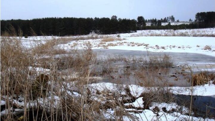 Экологическая ситуация в бассейне реки Волги - РИА Новости, 1920, 19.04.2025