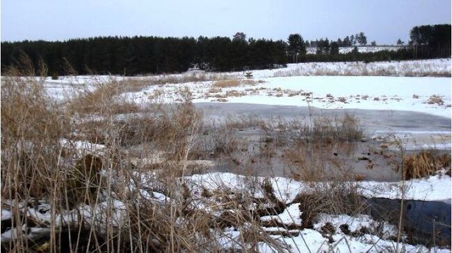 Экологическая ситуация в бассейне реки Волги
