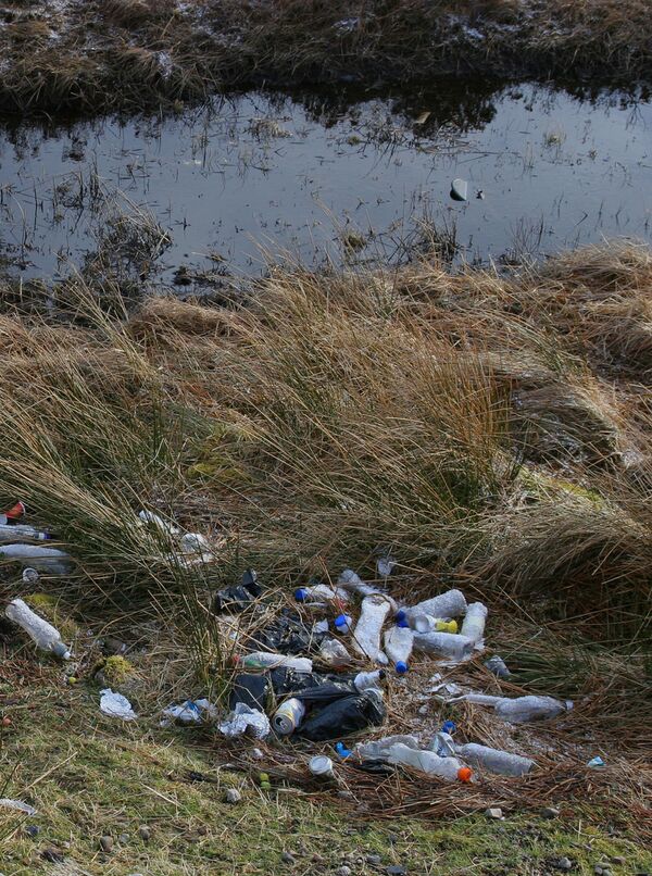 Британский лабрадор помог утилизировать 26 тысяч пластиковых бутылок