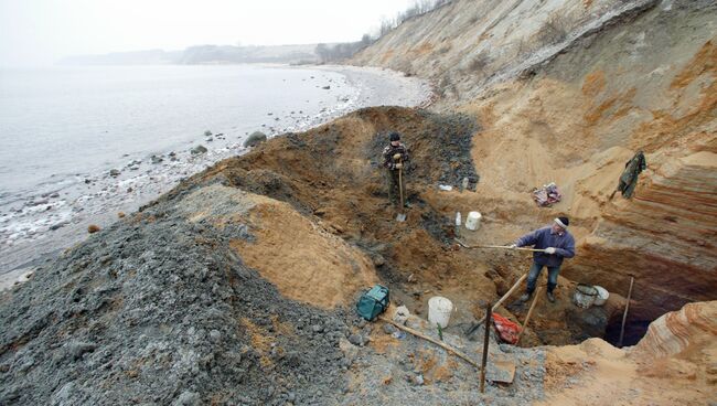 Добыча янтаря в береговой зоне Балтийского моря. Архив