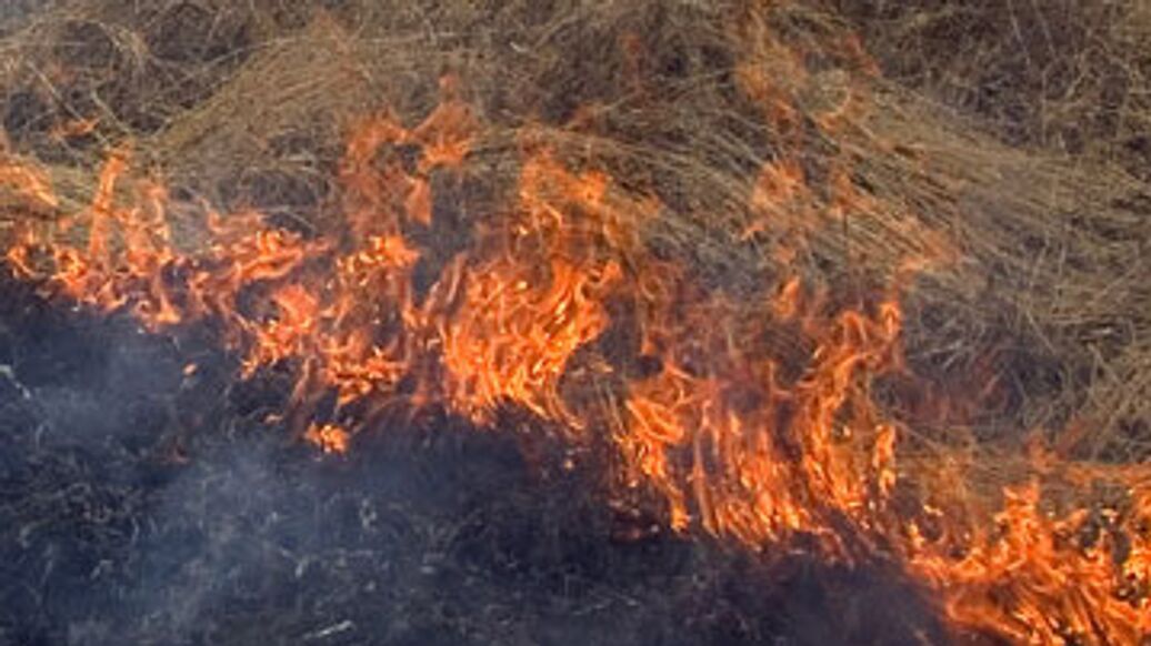 © РИА Новости / Александр Алпаткин<br>Лесные пожары. Архивное фото