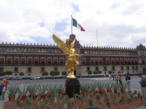Профсоюз электриков Мехико призвал к акции протеста