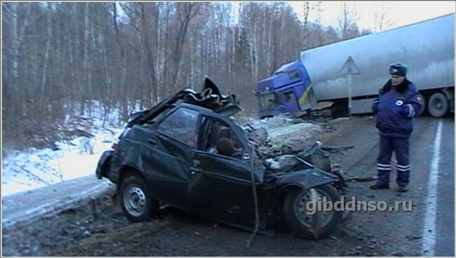 ДТП в Ноовосибирской области 