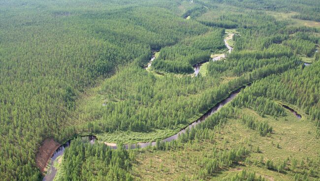 Тайга в районе падения Тунгусского метеорита