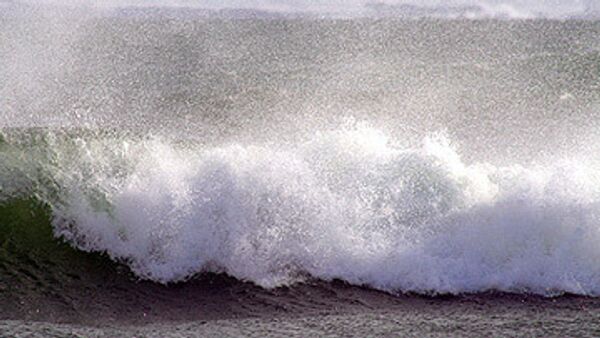 Возникшее у берегов Чили цунами не угрожает Дальнему Востоку - МЧС