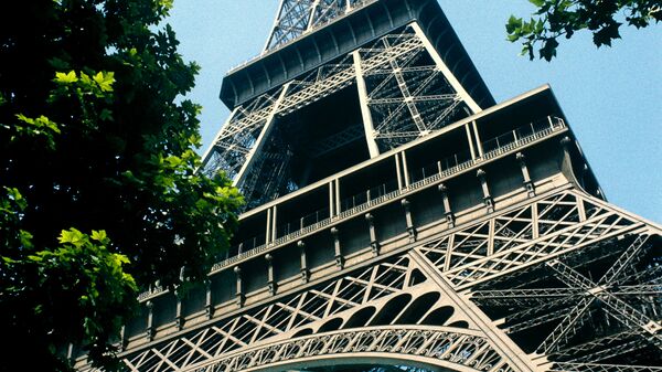 Беспорядки возникли у Эйфелевой башни в Париже из-за отмены промоакции