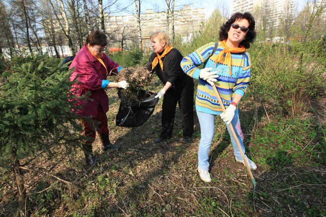 В Бирюлевском дендропарке во время первого субботника