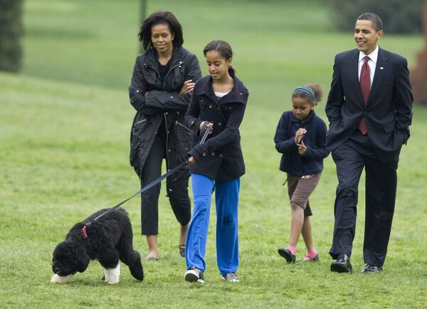 В семье президента США Барака Обамы появилась собака Бо
