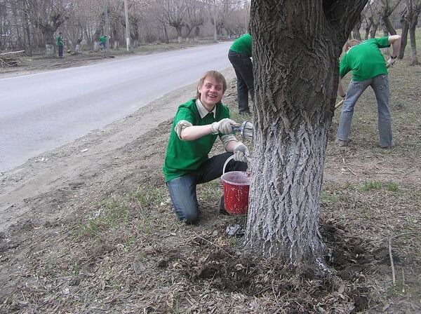 Более 20 тыс деревьев и кустарников посадят в Москве в апреле. Архив