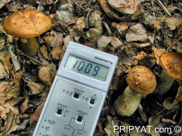 Показатель уровня радиации в городе Припять