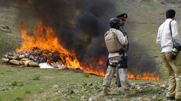 Шесть с половиной тонн наркотиков сожжено на костре в провинции Кабул. Архив