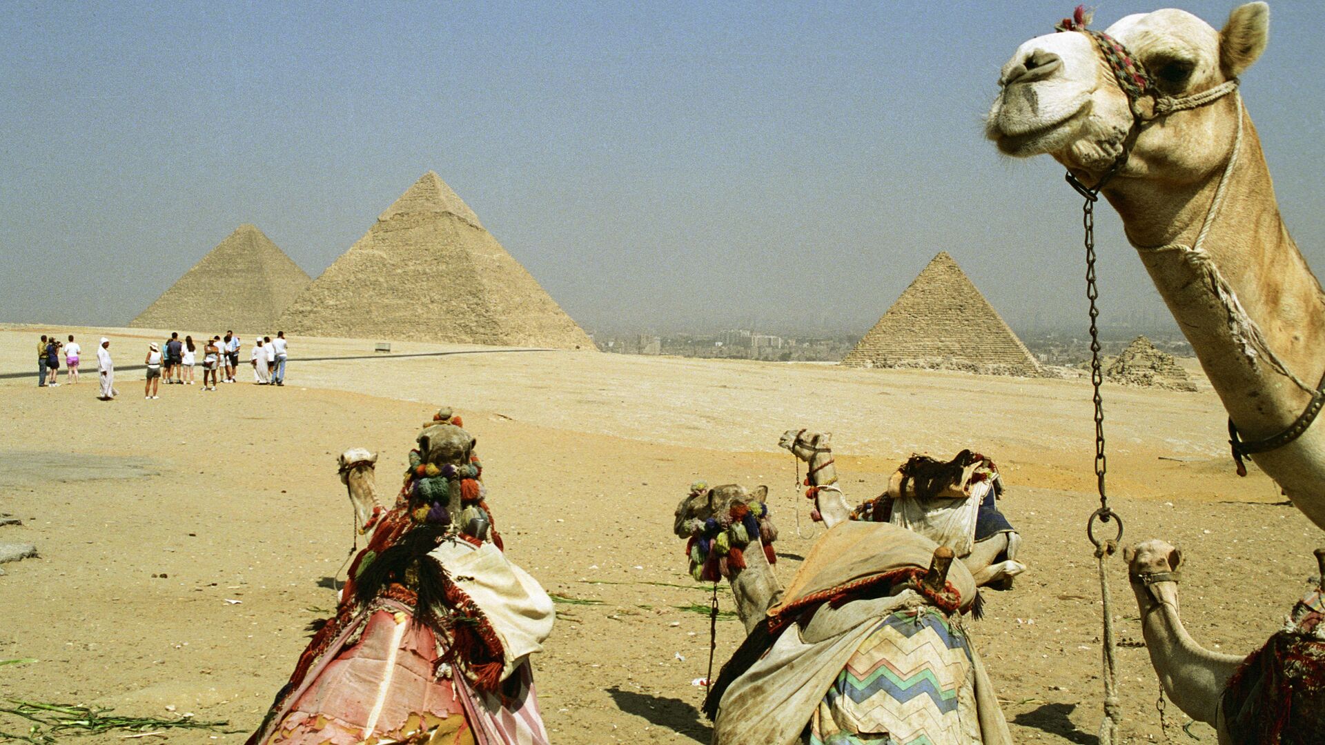 Пирамиды, Египет - РИА Новости, 1920, 27.01.2021