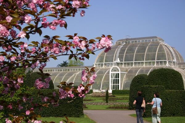 Оранжерея Палм-хаус в знаменитом лондонском ботаническом саду Кью-гарденс