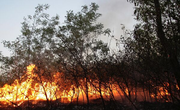 Четыре лесных пожара бушуют в Югре