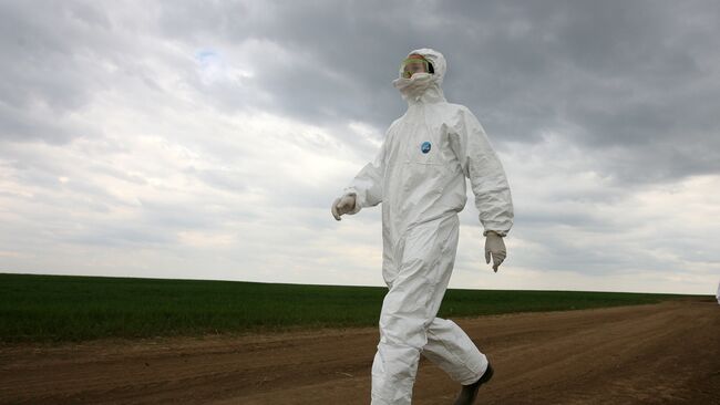 Учения по профилактике свиного гриппа прошли на свиноводческом комплексе в Татарстане