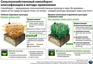 Сельскохозяйственный севооборот:классификация и методы применения
