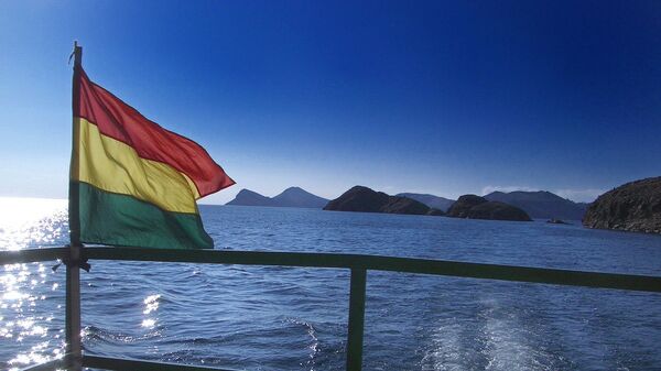 Флаг Боливии. Архивное фото