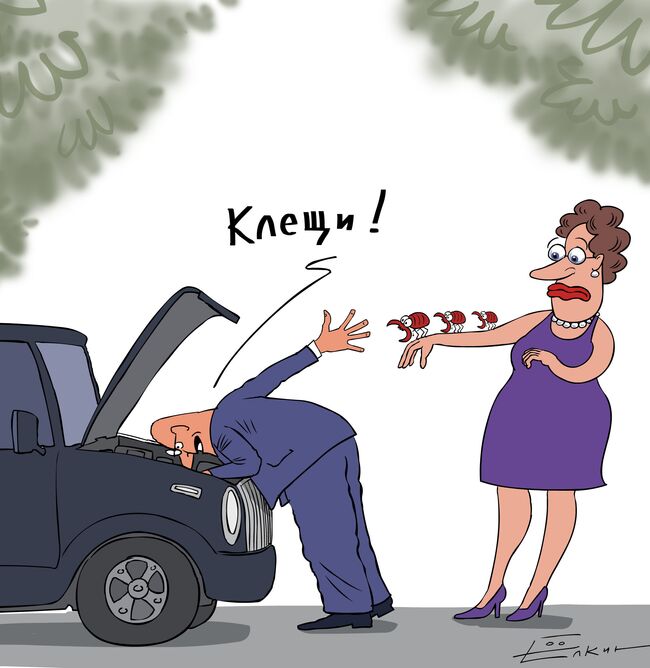 Карикатура дня от Сергея Елкина