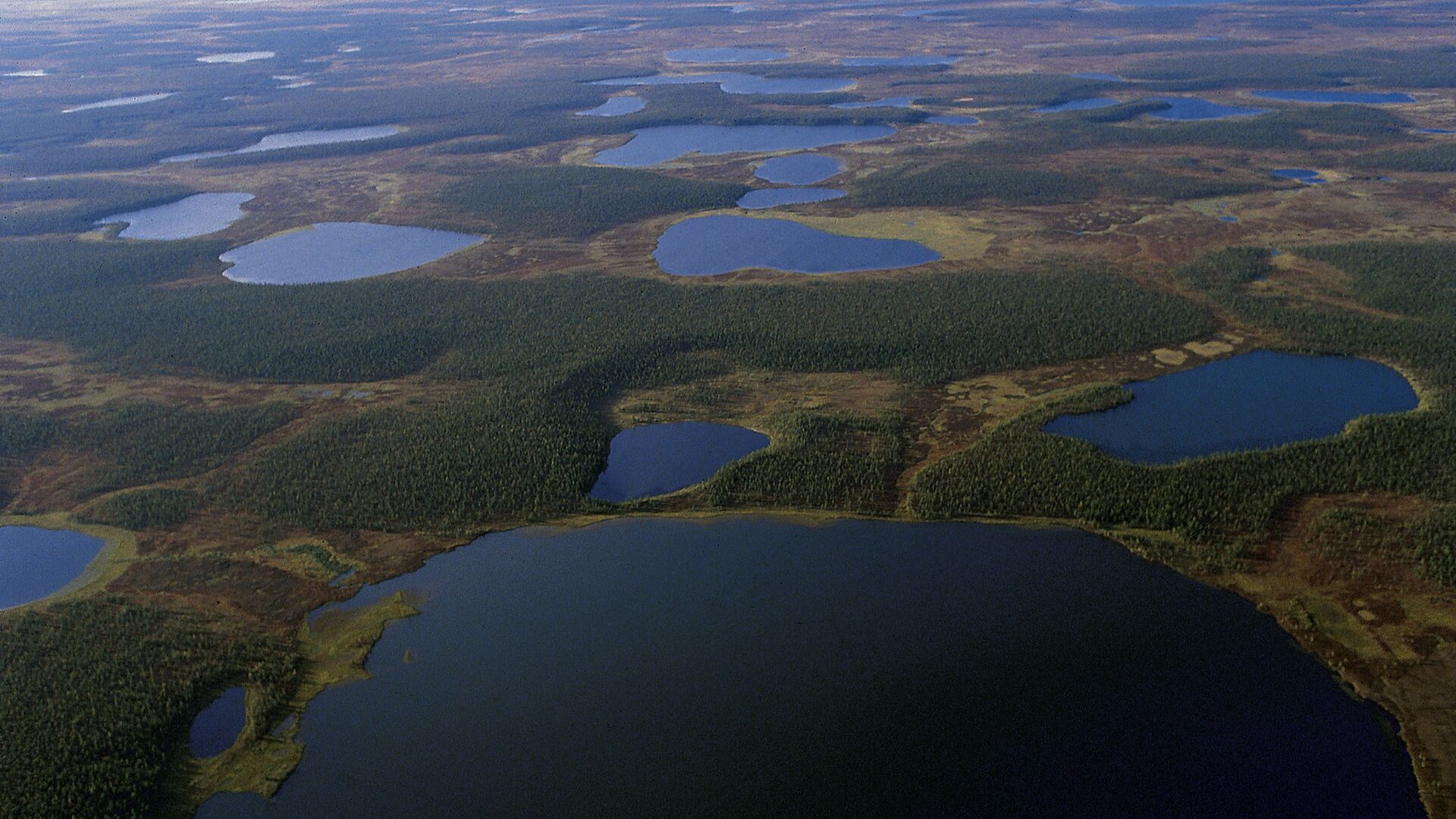 Полуостров Таймыр - РИА Новости, 1920, 12.07.2020