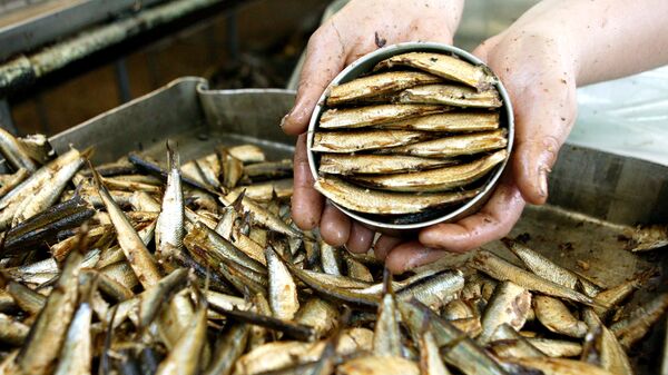 Подпольный цех по производству рыбных консервов ликвидирован в подмосковных Мытищах